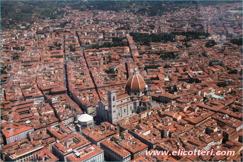 elifoto (228)